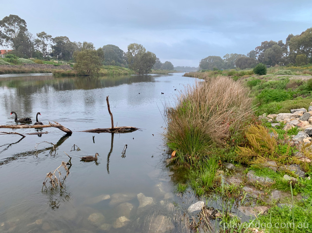 Breakout Creek, West Beach, Henley Beach South, horses, River Torrens