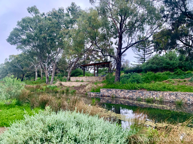 Breakout Creek, West Beach, Henley Beach South, horses, River Torrens
