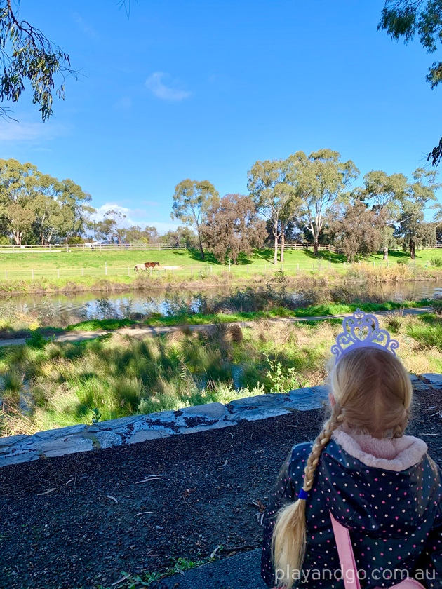 Breakout Creek, Henley Beach South, West Beach, River Torrens, horses