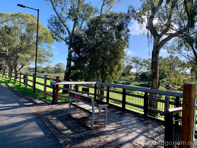 Breakout Creek, Henley Beach South, West Beach, River Torrens, horses