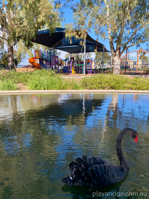 Breakout Creek, West Beach, Henley Beach South, horses, River Torrens, Apex Park