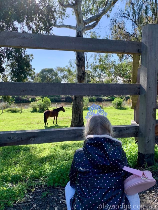 Breakout Creek, West Beach, Henley Beach South, horses, River Torrens