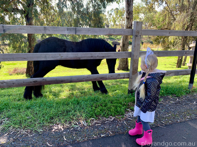 Breakout Creek, West Beach, Henley Beach South, horses, River Torrens