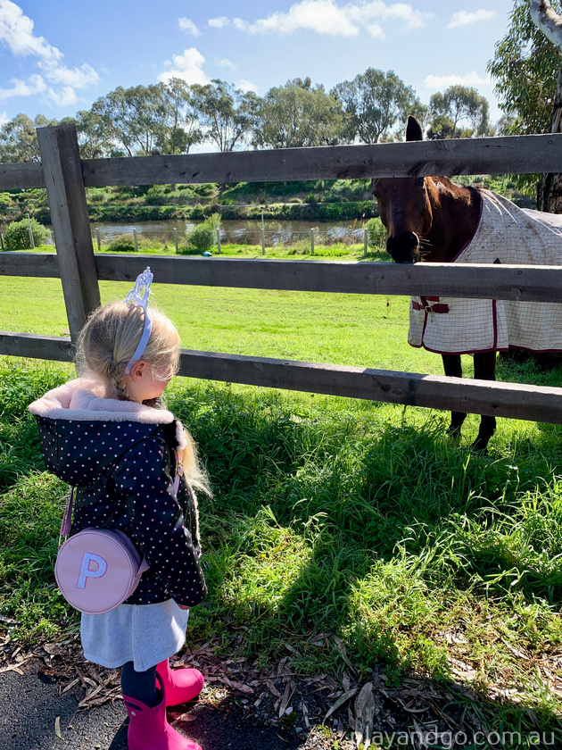 Breakout Creek, West Beach, Henley Beach South, horses, River Torrens