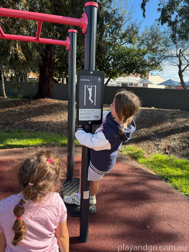 monkey bars patritti