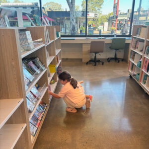inside salisbury library