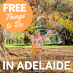 Free Things to Do in Adelaide with Kids