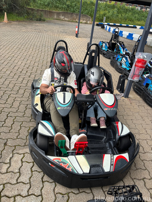 two seater karts x karts