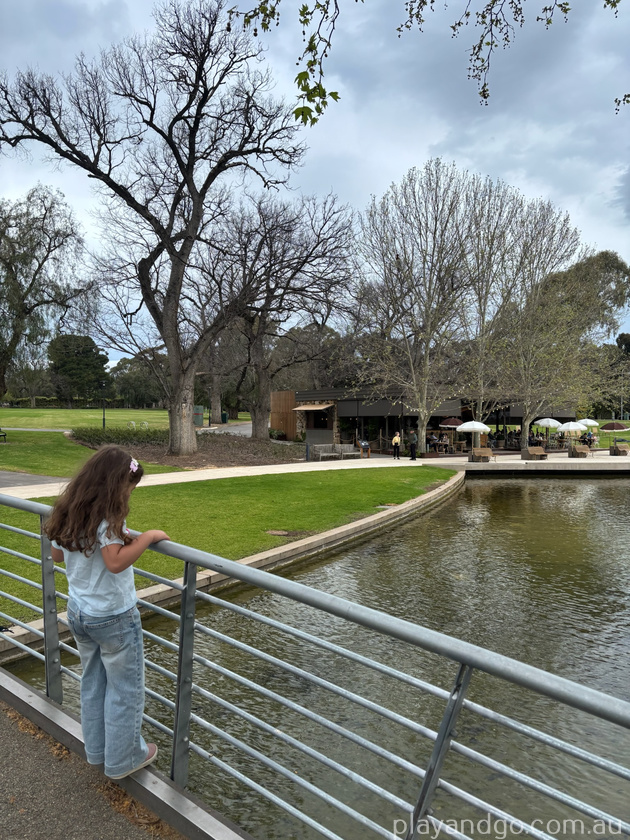 lake puddle duck