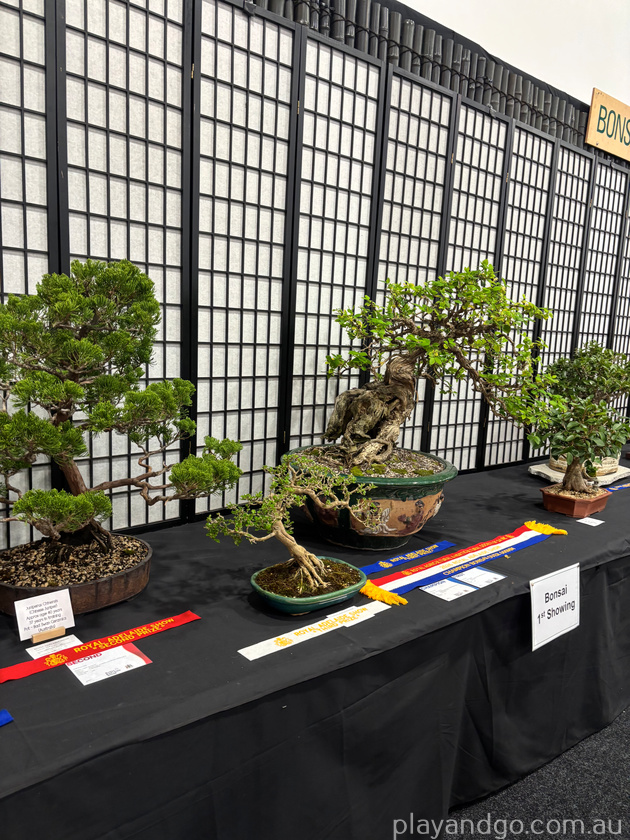 royal show bonsai