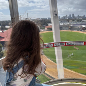 royal show 2026 ferris wheel