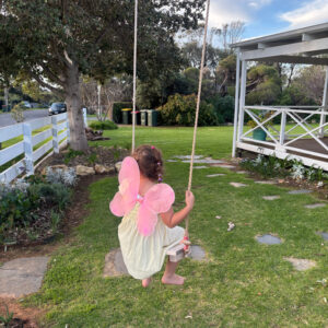 shellwater swing