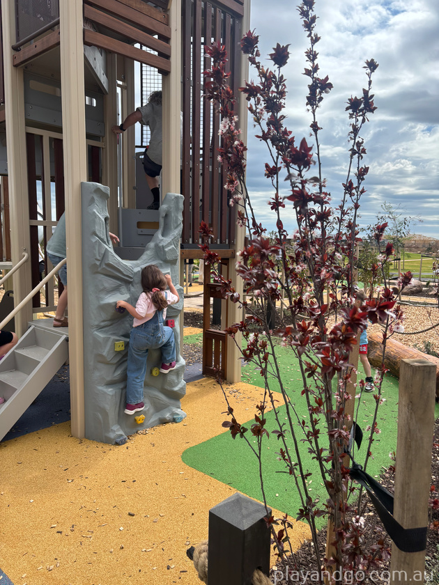 climbing wall Villawood