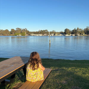 Mannum big 4 views