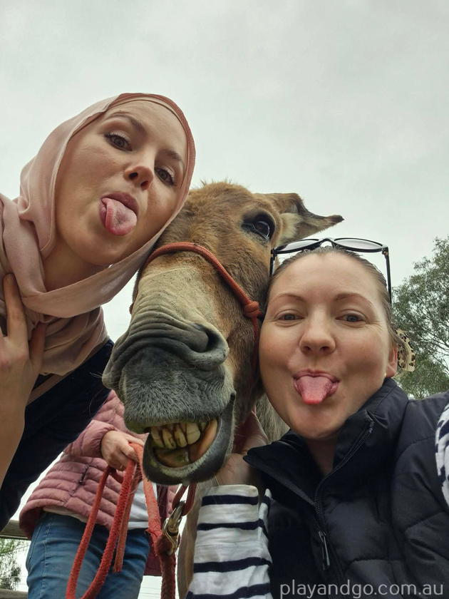 selfie with Gregory donkey discovery