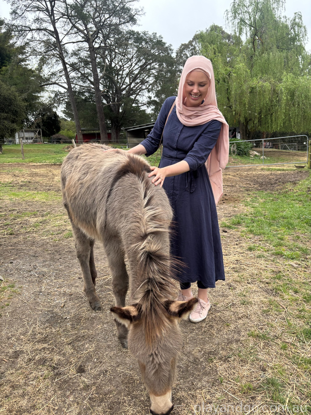 donkey pats Hahndorf