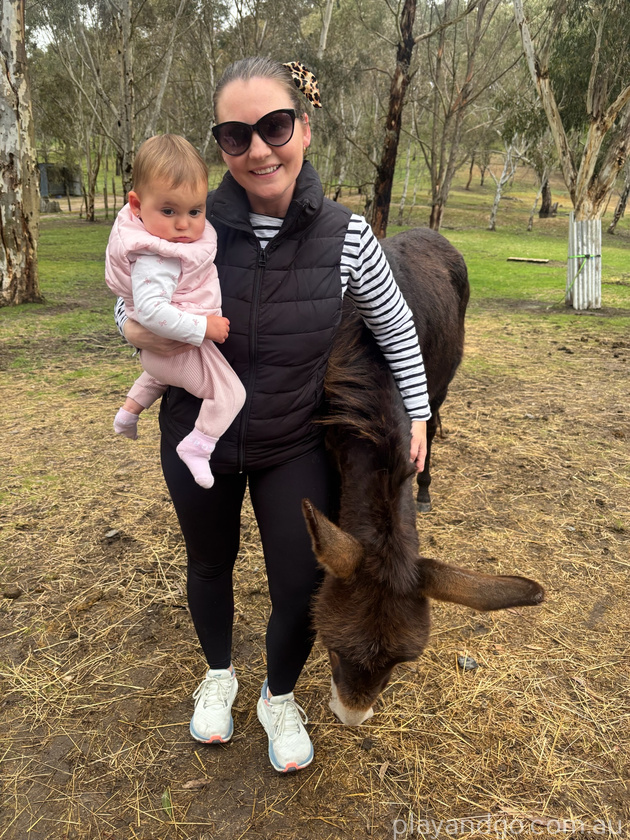 baby and donkey
