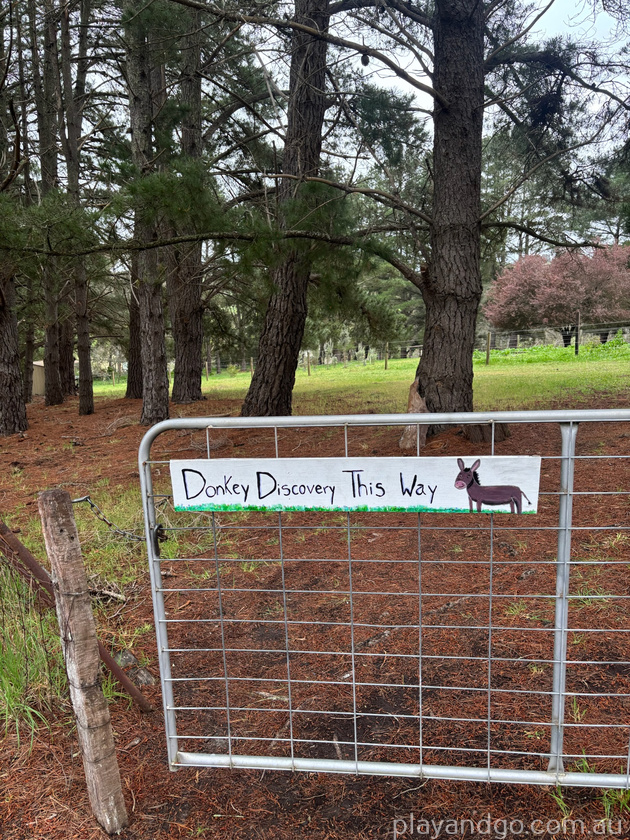 donkey discovery gate