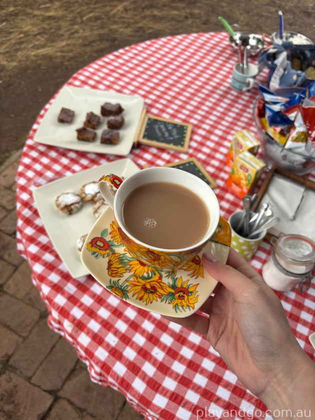 tea time donkey discovery
