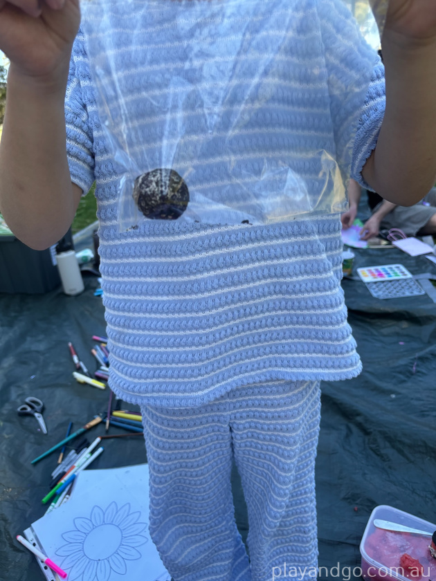 seed bomb nature fest