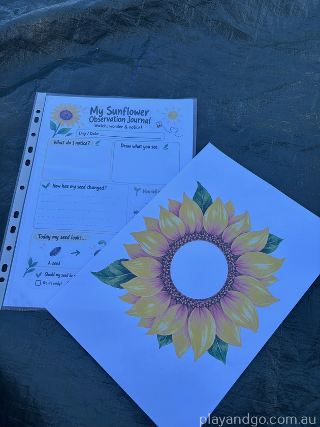 sunflower activities nature fest