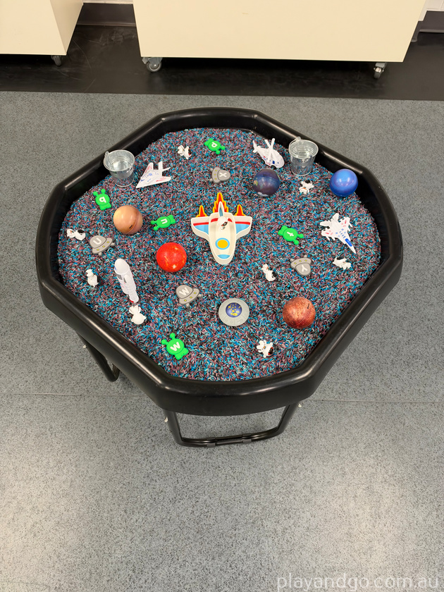 wild and curious space tray