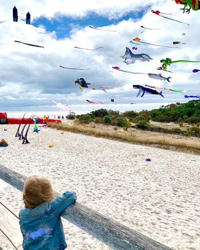 An important update from the ADELAIDE INTERNATIONAL KITE FESTIVAL🪁🪁

Sat 19 April 11.45am - unfortunately the kites are unable to fly with the weather conditions currently. Please keep an eye on the @adelaide_kite_festival socials for updates. 

This wonderful free event has become synonymous with the Easter long weekend - we hope they’ll be able to fly soon.

The Festival Marketplace and amusements are still operating.
